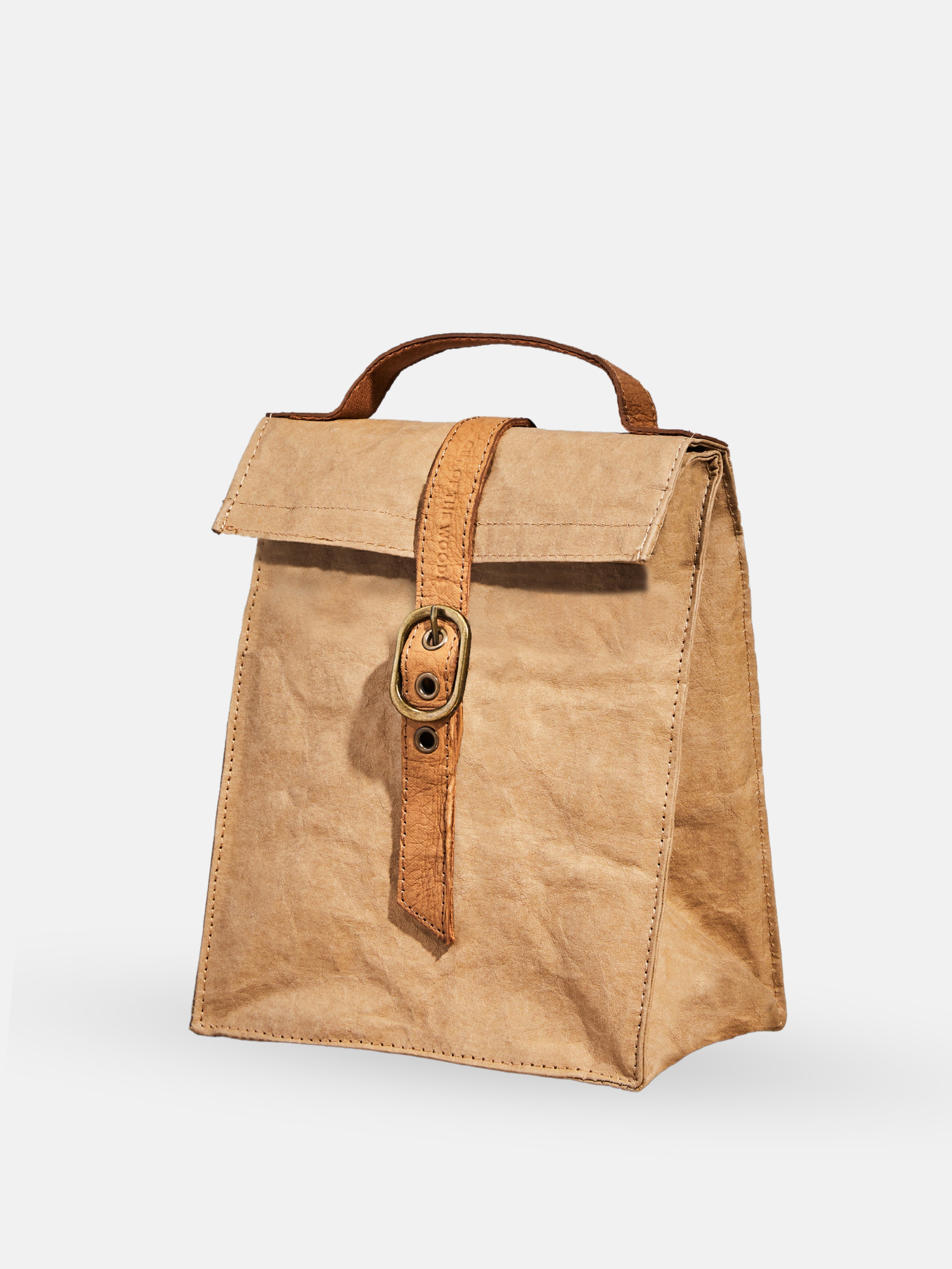 Paper Bag Lunch Cooler